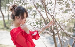 欧美午夜色情高清苦月亮